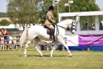 SBM_16144