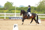 SBM_006613