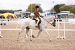 SBM_18637