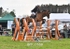 BPP_0558