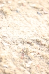 SBM_005121