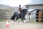 SBM_006459