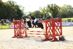 SBM_17754
