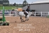 BPP_4019