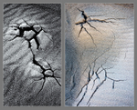 HE/SHE #26, 2014