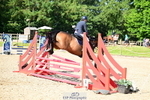 Cls 24 85cm Nat Am Qualifier portfolio