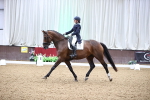 SBM_009145