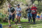 Dovedale Dash-2087