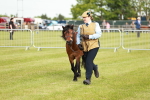 SBM_00533