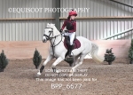 BPP_6677