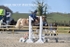 BPP_6856