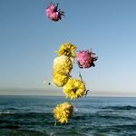 ENTROPY TRIPTYCH l-lll