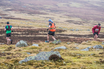 Carrock Fell-155