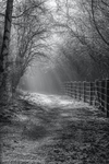 Down the Sunlit Path