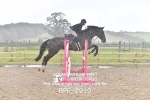 BPP_2910