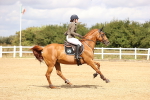 SBM_007093