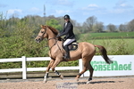Cls 29, YH 6yr 1.20m portfolio