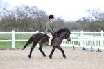 SBM_007398