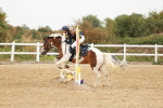 SBM_007373