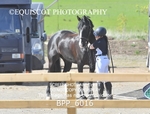 BPP_6016