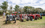 Guernsey Agricultural Show 2021-84
