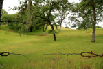 Barbed wire repair