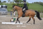 BPP_5985