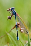 20100522_0041