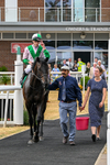 010826-Race 6-La Peregrina-3395