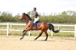 SBM_003686