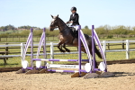 SBM_001015