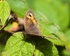 20110730-IMG_6212