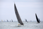 190803 JUST SO GBR529R 1Y3A7549