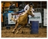 Rodeo Portfolio - Barrel Racing 01