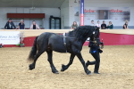 SBM_17490