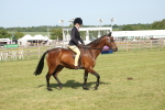 SBM_09665