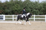 SBM_002181