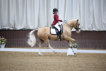 SBM_005338