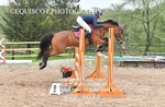 BPP_9039
