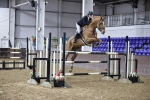 Class 7 - National 1.30m/1.40m Open Handicap portfolio