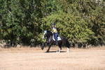 WJ6_7548