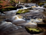 River Rivelin (02)