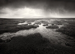 Scales Moor 2