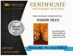 Umencia Internatinal Photgraphy Competition_2024_Silver Medal_Nature