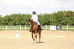 SBM_001449