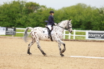 SBM_005922