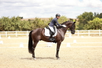 SBM_004877