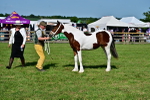 SBM_10024