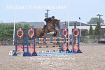 BPP_0234