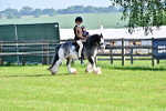 SBM_11486